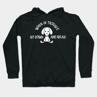 Funny Saying Funny Quote Hoodie